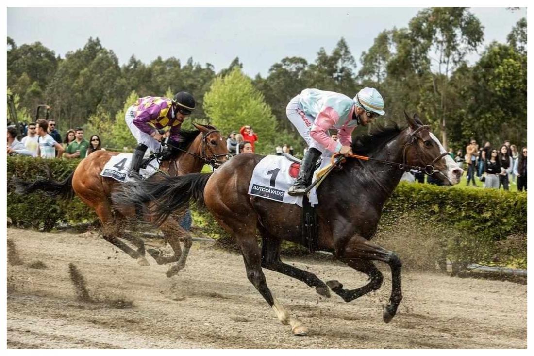 Vizelenses com contributo nas Corridas a Cavalo em Portugal 